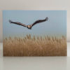 Greeting Cards Pack C - Image 2
