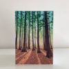 Greeting Cards Pack C - Image 3