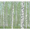 Silver Birches