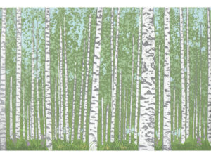 Silver Birches