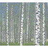 Silver Birches - Image 3