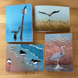 Greeting Cards Pack B